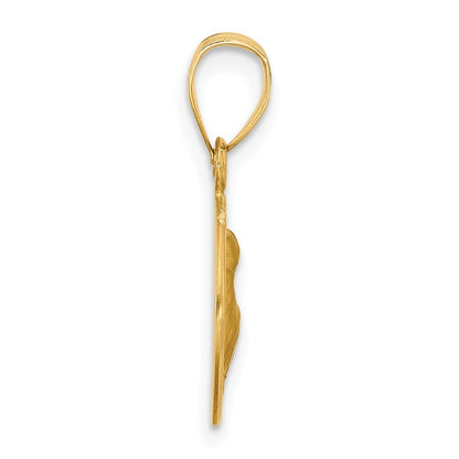 14k Yellow Gold Polished and Satin St. Anthony Medal Pendant for Women