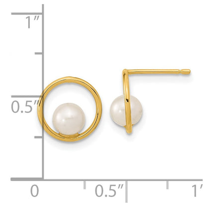 14k Yellow Gold Open Circle 5mm Freshwater Cultured Pearl Stud Earrings
