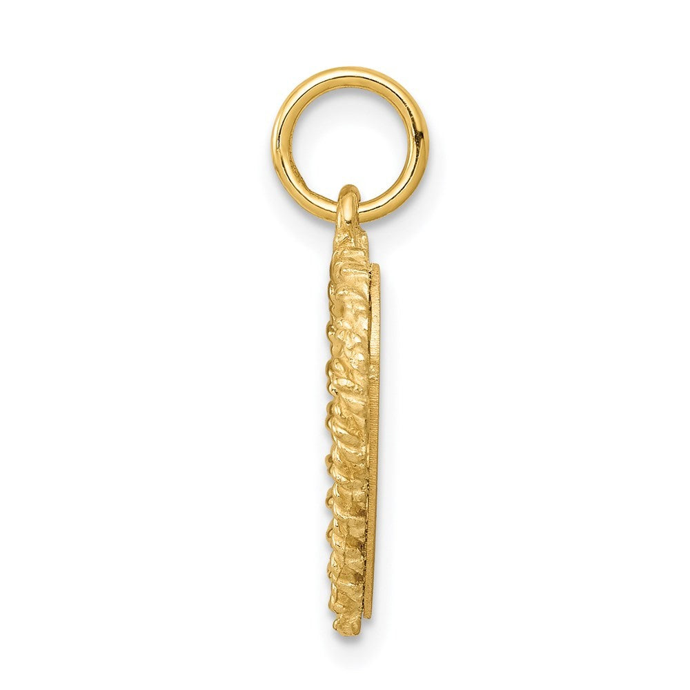 14k Yellow Gold Polished .013 Gauge Heart with Rope Disc Charm Pendant