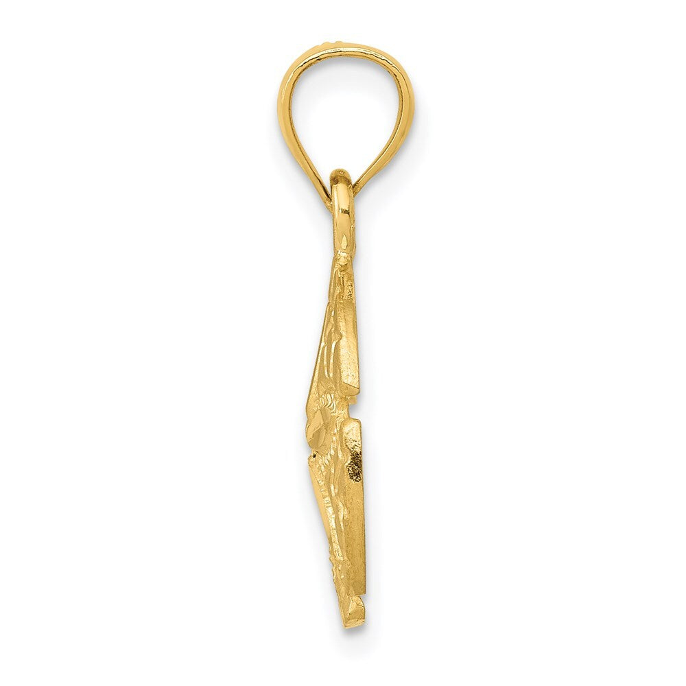 14k Yellow Gold Sand Dollar Pendant for Women