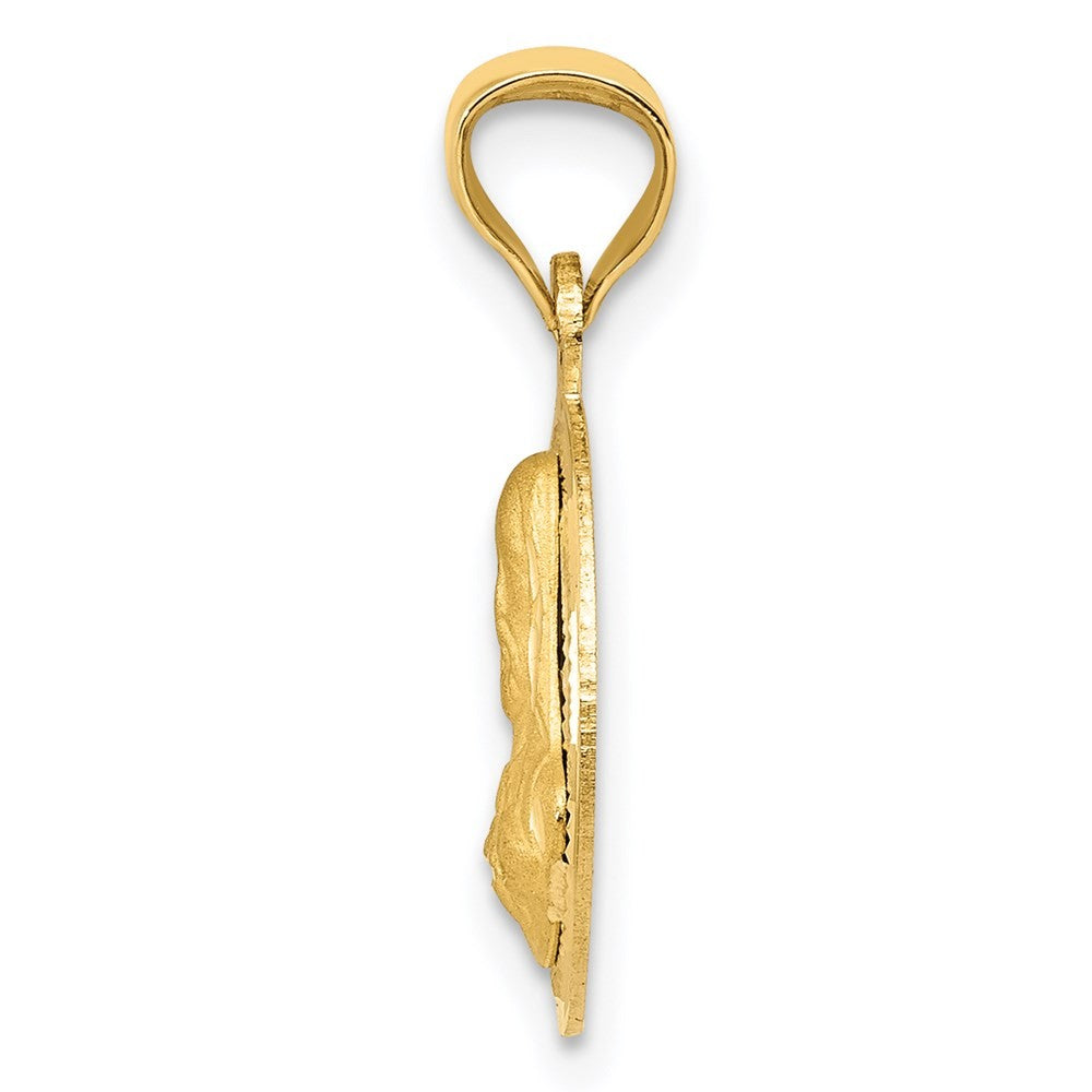 14k Yellow Gold Polished Diamond-Cut Sagrado Corazon Circle Pendant