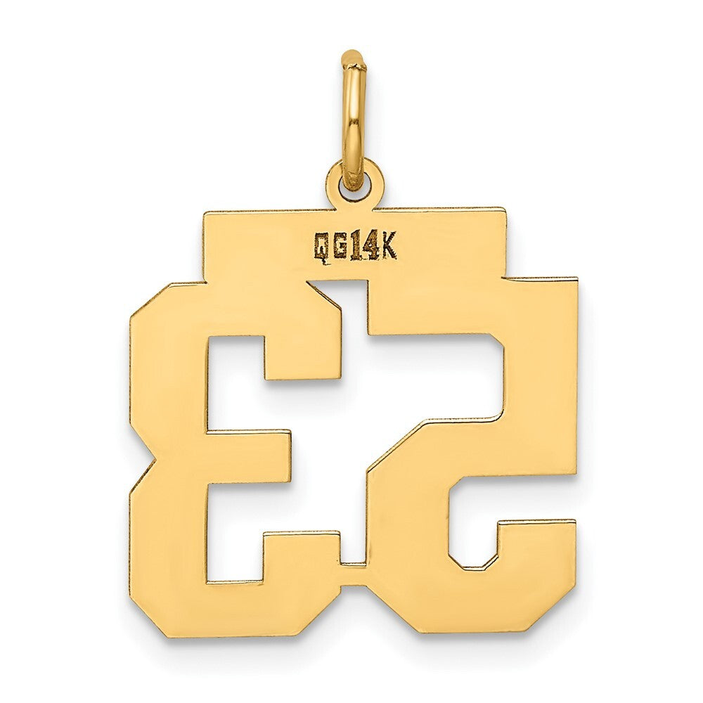 14k Yellow Gold Medium Polished Number 53 Charm Pendant for Women