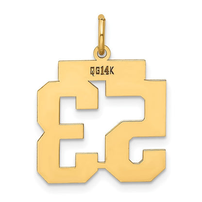 14k Yellow Gold Medium Polished Number 53 Charm Pendant for Women