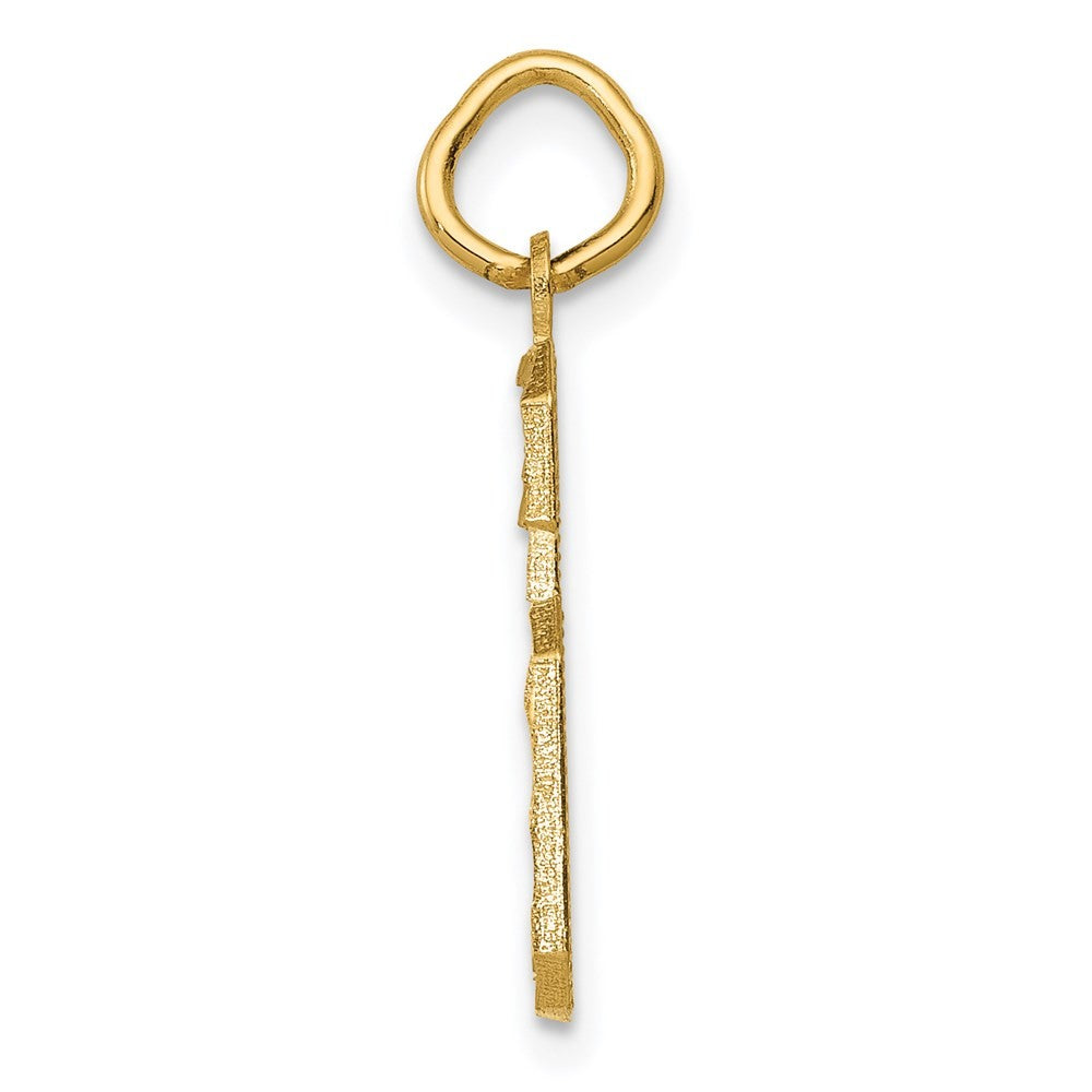 14k Yellow Gold Medium Diamond-cut Number 6 Charm