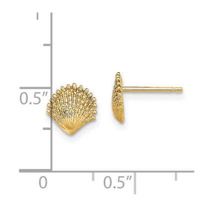 14k Yellow Gold Scallop Shell Stud Earrings Gift for Women