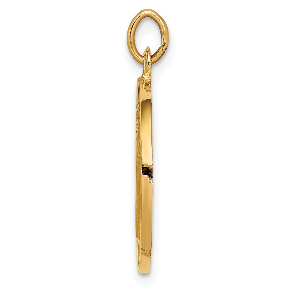 14k Yellow Gold Solid Polished/Satin Round Reversible St. Benedict Medal Pendant