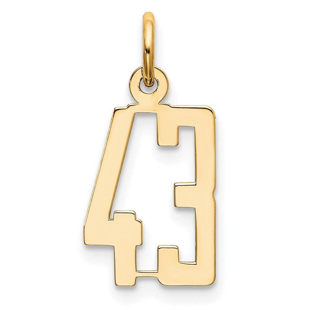 14k Yellow Gold Small Elongated Number 43 Charm Pendant for Women