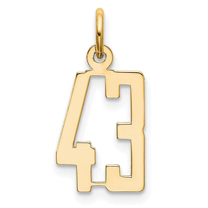 14k Yellow Gold Small Elongated Number 43 Charm Pendant for Women
