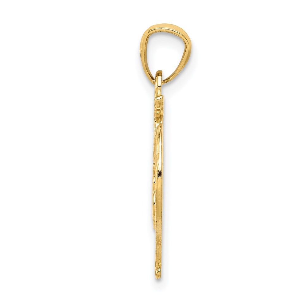 14k Yellow Gold Diamond-cut 15 ANOS Heart Pendant for Women