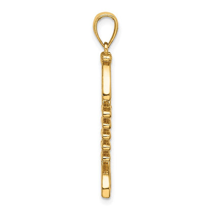 14k Yellow Gold 3-D Polished/ Textured Fishbone Charm