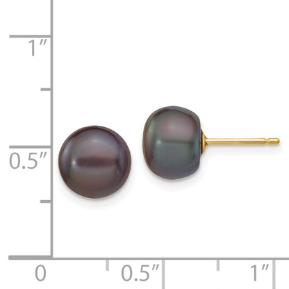 14k Yellow Gold 8-9mm Black Button Freshwater Cultured Pearl Stud Earrings