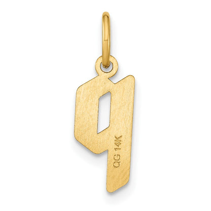14k Yellow Gold Lowercase Letter P Initial Pendant for Women