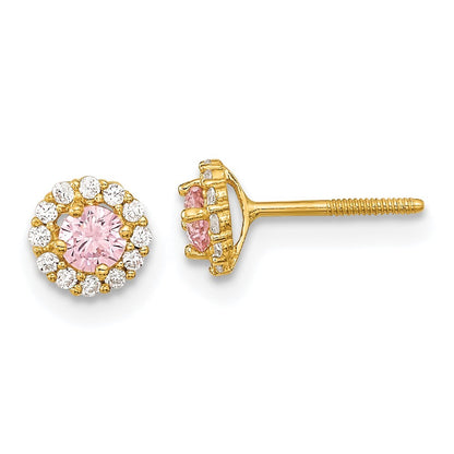 14k Yellow Gold Polished Pink and Clear Cubic Zirconia Screwback Stud Earrings