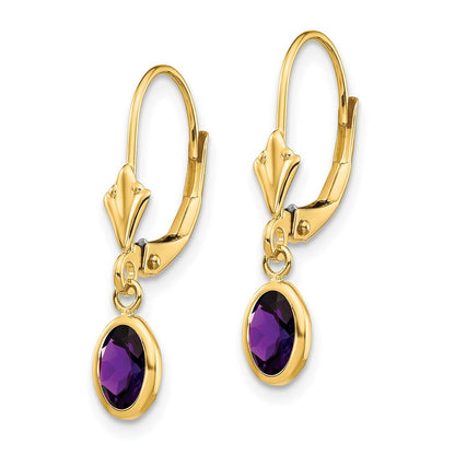 14k Yellow Gold 6x4mm February/Amethyst Stud Earrings Gift for Women