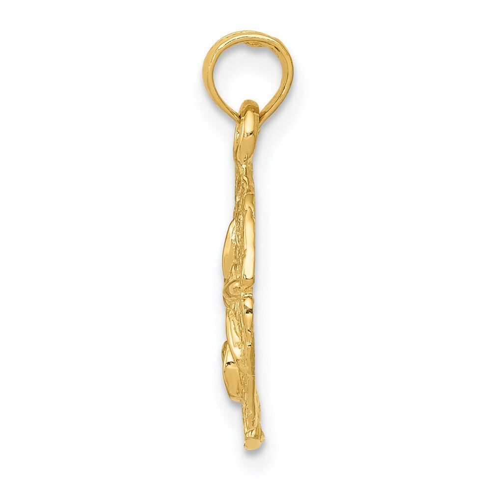 14k Yellow Gold Sand Dollar Pendant for Women