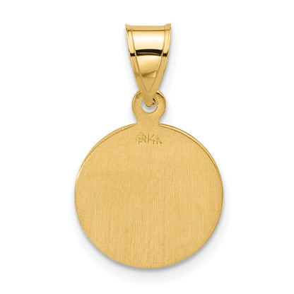 14k Yellow Gold Polished Satin Solid Miraculous Mary Plain Back Medal Pendant