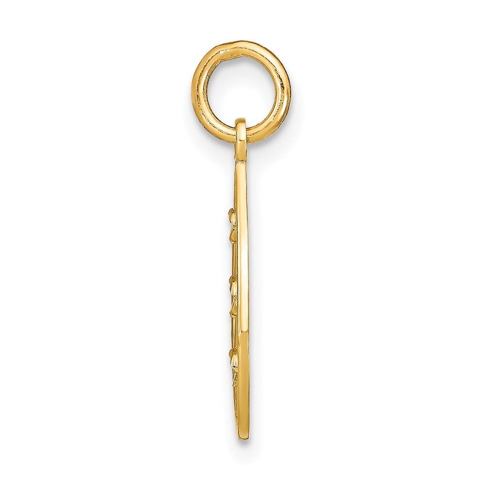 14k Yellow Gold Rhodium Diamond-Cut Small Teardrop Charm Pendant for Women