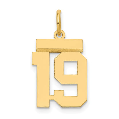 14k Yellow Gold Small Polished Number 19 Charm Pendant for Women