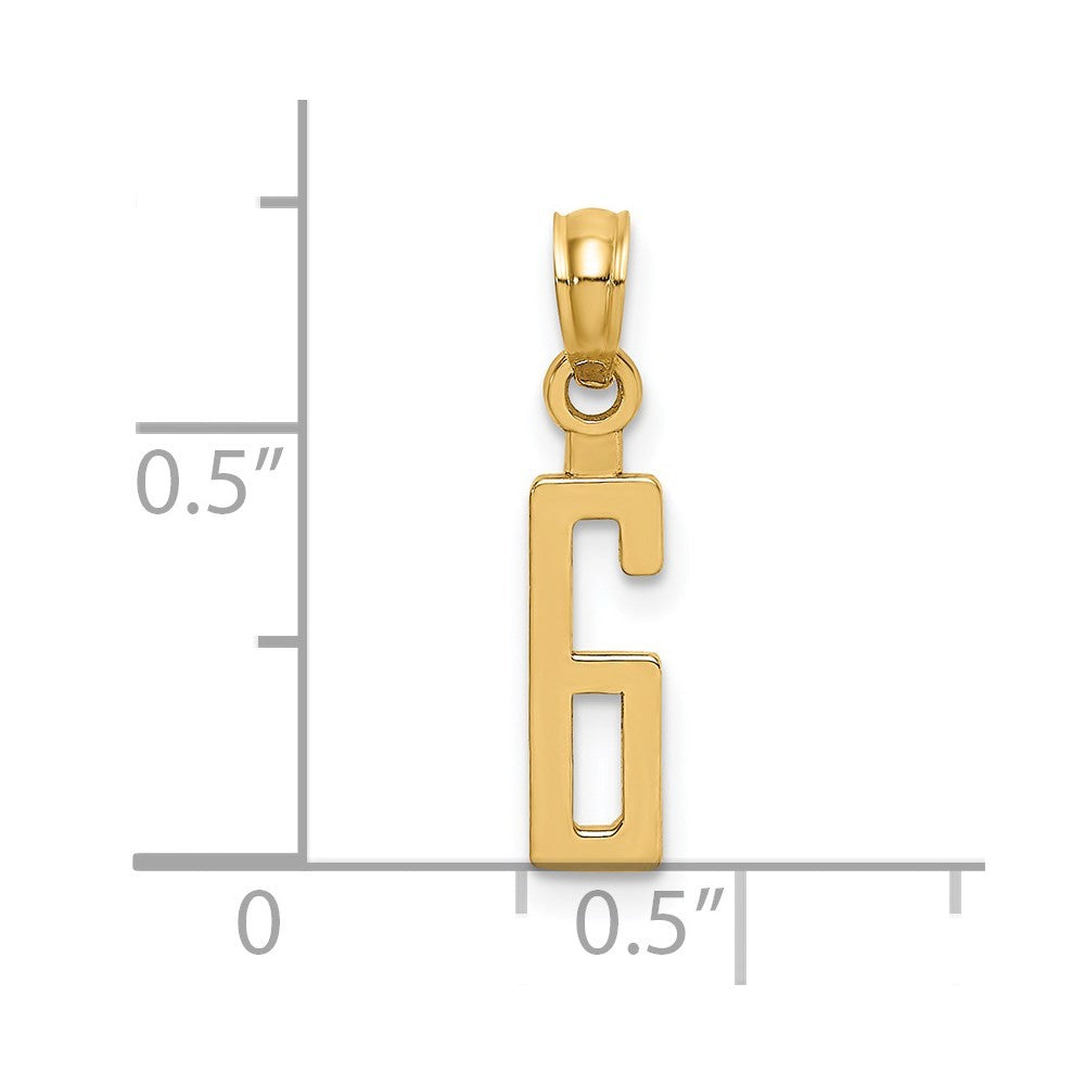 14k Yellow Gold Polished Number 6 Pendant