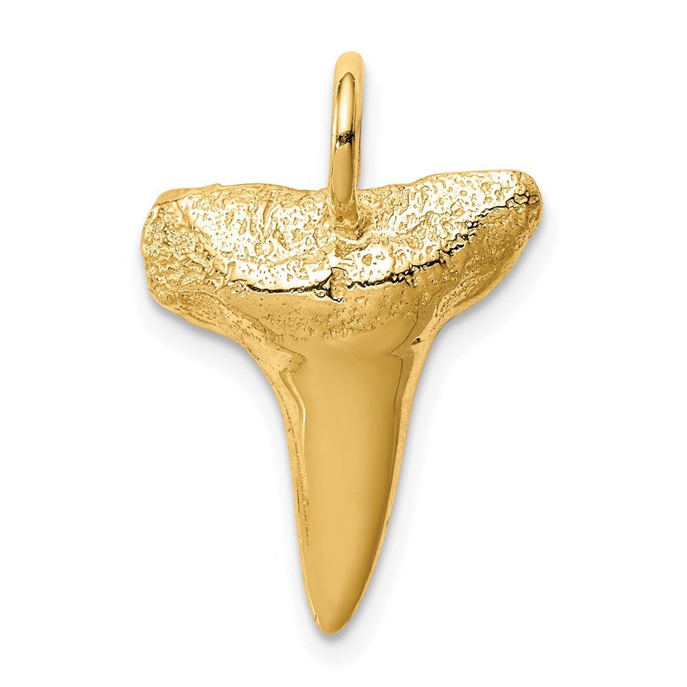 14k Yellow Gold Shark Tooth Pendant for Women