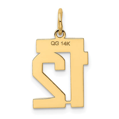 14k Yellow Gold Small Polished Number 12 Charm Pendant for Women