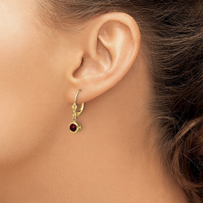 14k Yellow Gold 5mm Garnet Drop Dangle Earring