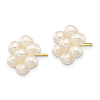 14k Yellow Gold 3-4mm White Egg Freshwater Cultured Pearl Flower Stud Earrings