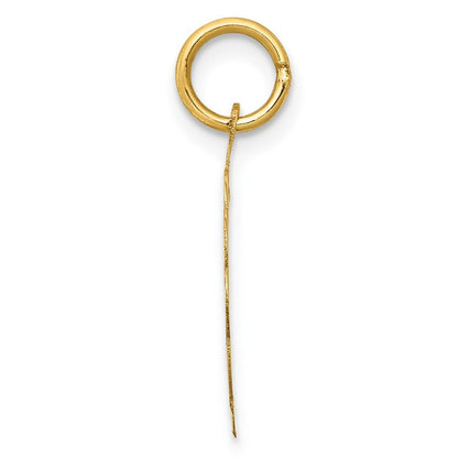 14k Yellow Gold YOU ARE ALWAYS IN MY HEART Disc Charm Pendant for Women