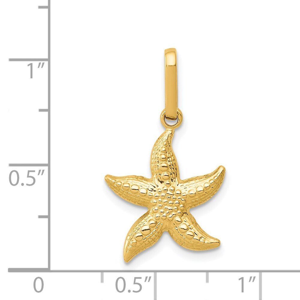 14k Yellow Gold Textured Hollow Starfish Pendant for Women