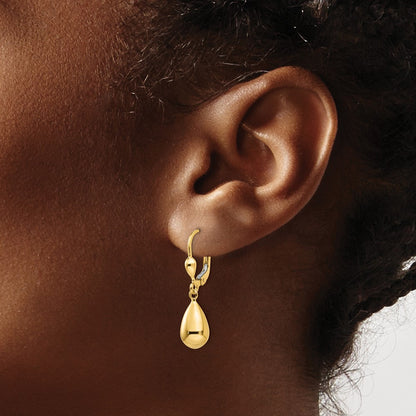 14k Yellow Gold Polished Fancy Drop Dangle Earrings