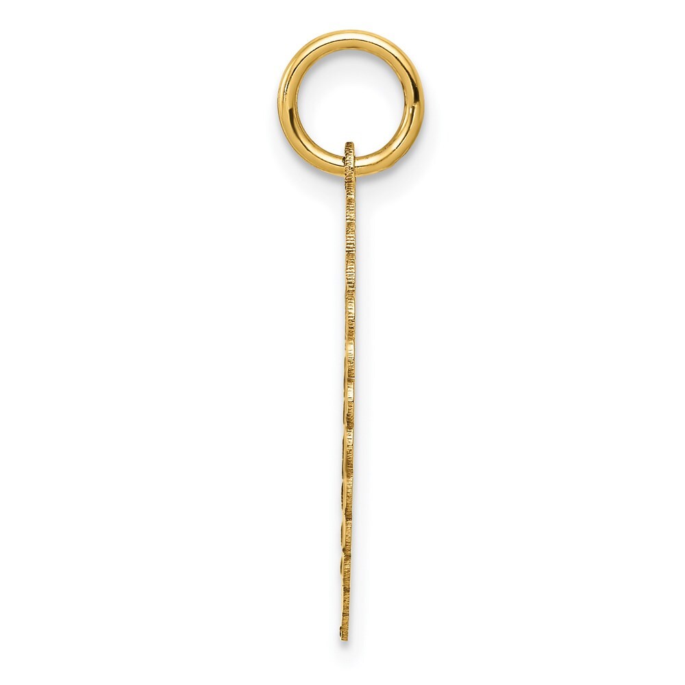 14k Yellow Gold SWEET 16 Disc Charm Pendant for Women