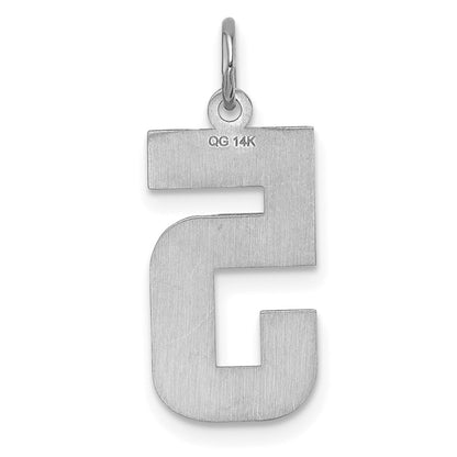 14k White Gold Large Brushed Diamond-cut Number 5 Charm