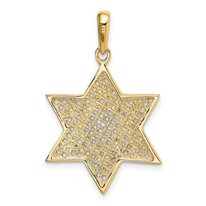 14k Yellow Gold Rhodium Solid Mesh Star Of David Charm