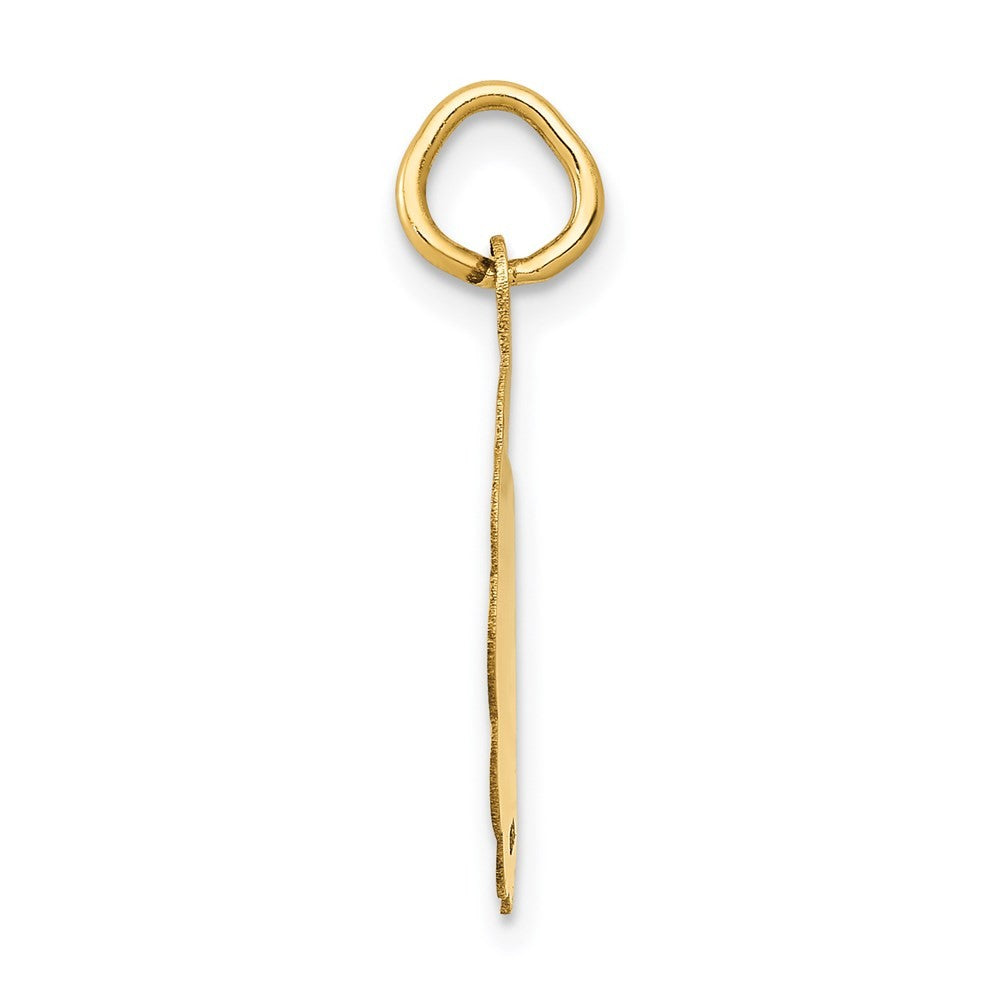 14k Yellow Gold Polished IT'S A GIRL Scalloped Disc Charm Pendant