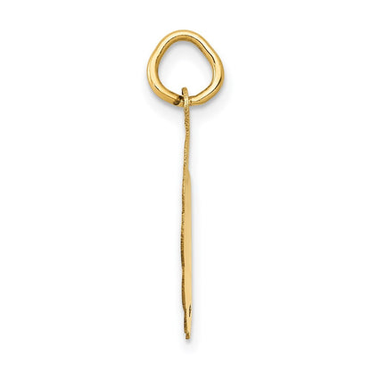 14k Yellow Gold Polished IT'S A GIRL Scalloped Disc Charm Pendant