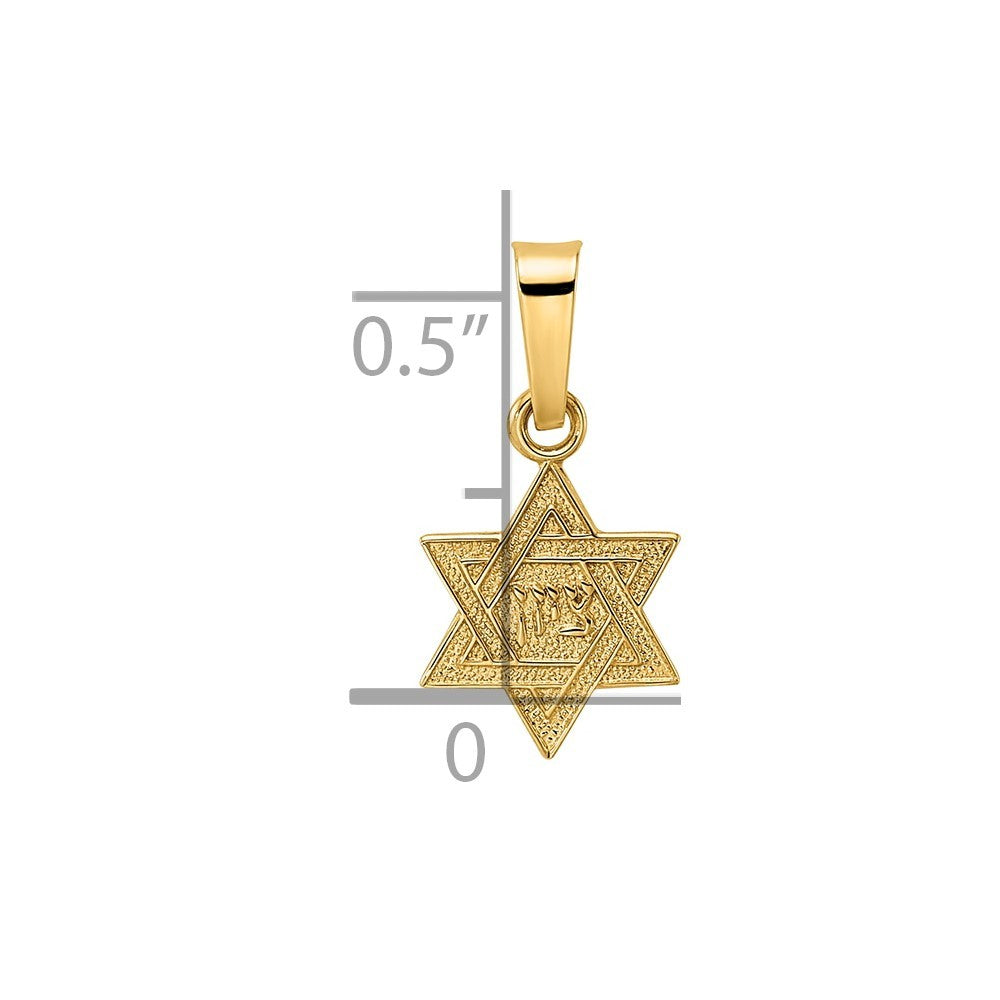 14k Yellow Gold Polished & Textured Solid Star of David Pendant