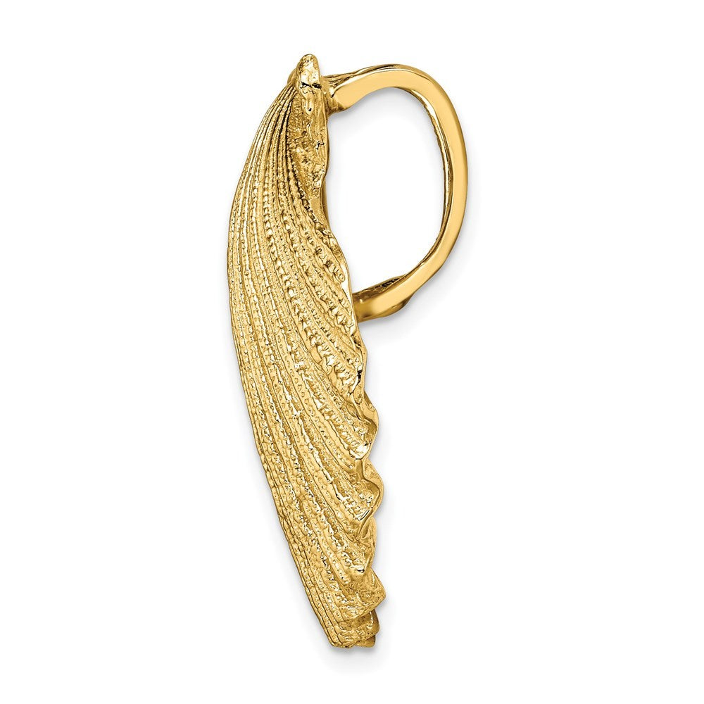 14k Yellow Gold Fits Up To 8mm and 10mm Medium Scallop Shell Slide