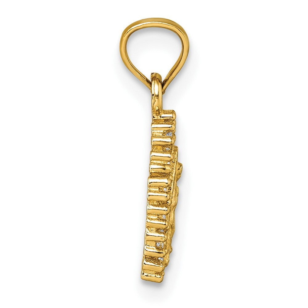 14k Yellow Gold Polished CZ Our Lady of Guadalupe Charm Pendant
