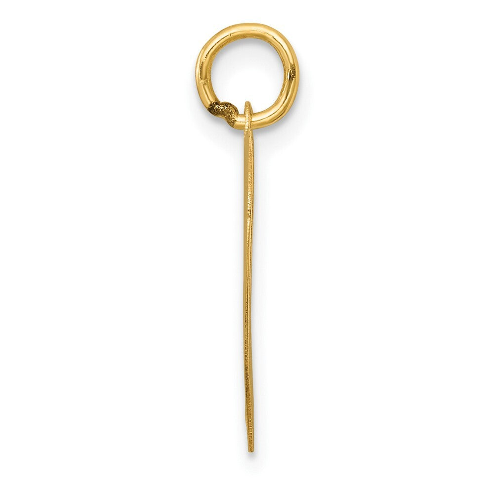 14k Yellow Gold Polished Class of 2025 Heart Charm Pendant for Women