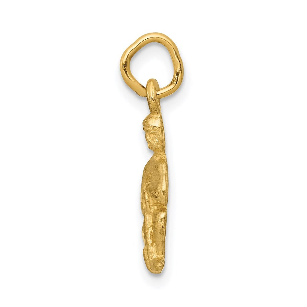 14k Yellow Gold Satin Diamond-cut Aquarius Zodiac Charm Pendant for Women