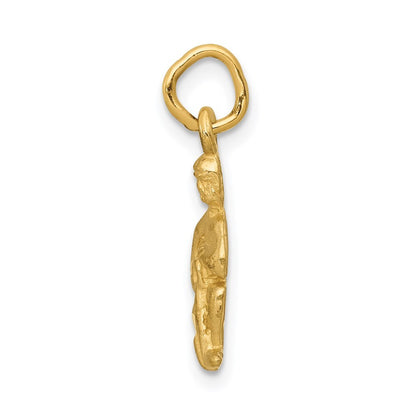 14k Yellow Gold Satin Diamond-cut Aquarius Zodiac Charm Pendant for Women