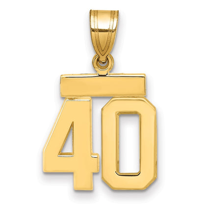 14k Yellow Gold Small Polished Number 40 Charm Pendant