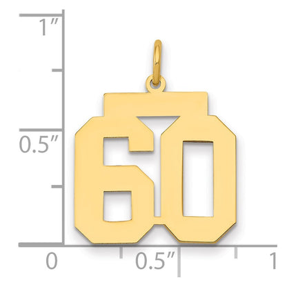 14k Yellow Gold Medium Polished Number 60 Charm Pendant for Women