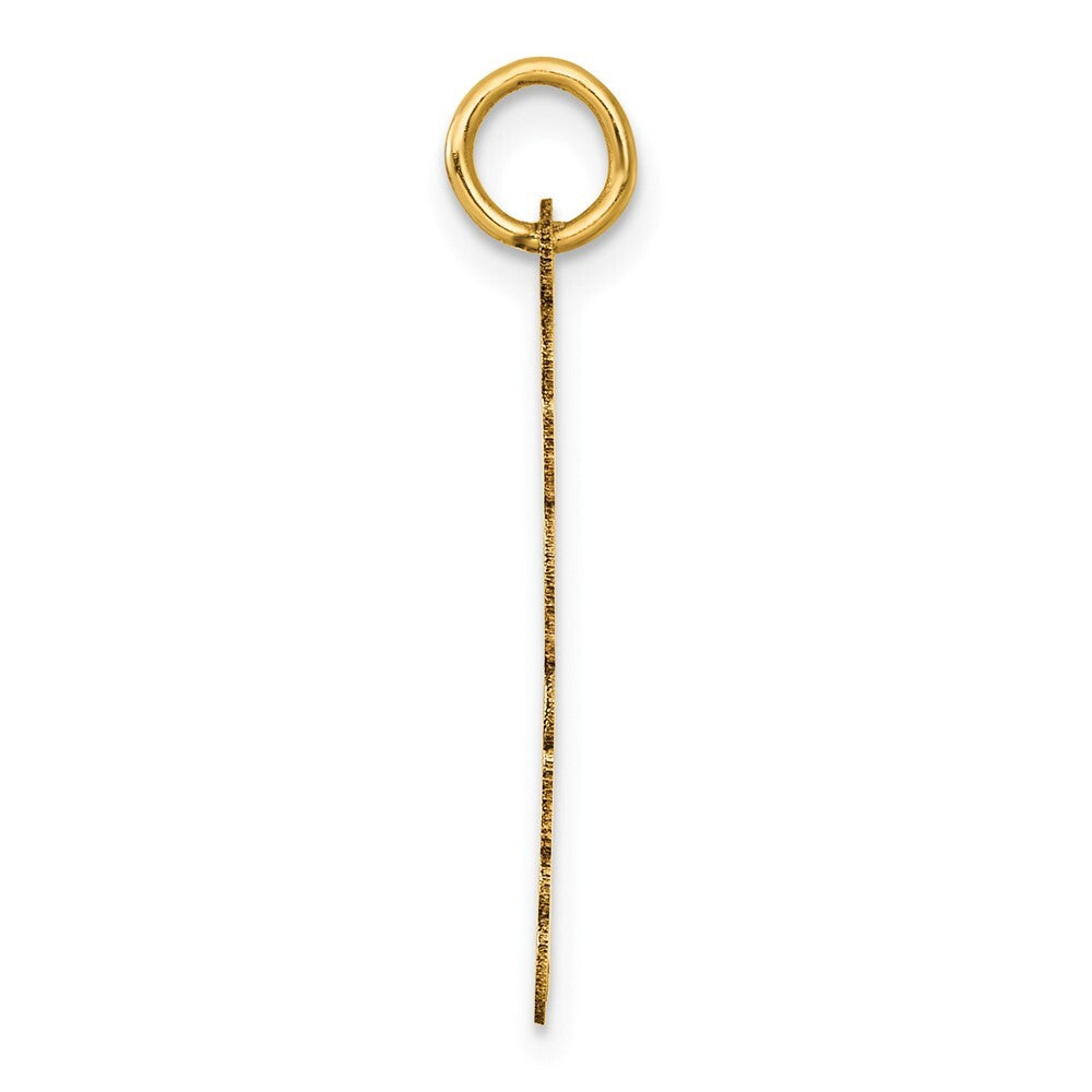 14k Yellow Gold Polished and Satin Vertical 2026 Charm