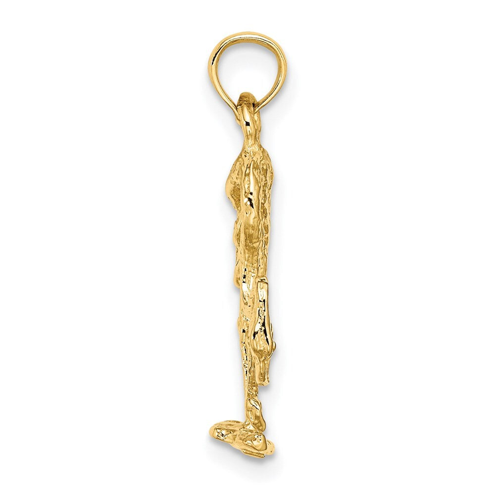 14k Yellow Gold 3-D Textured Flamingo Charm Pendant for Women