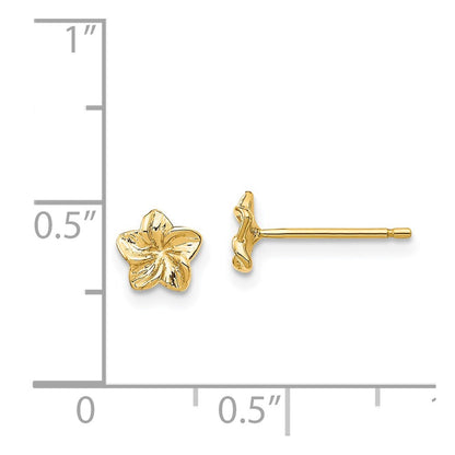 14k Yellow Gold Plumeria Flower Stud Earrings Gift for Women