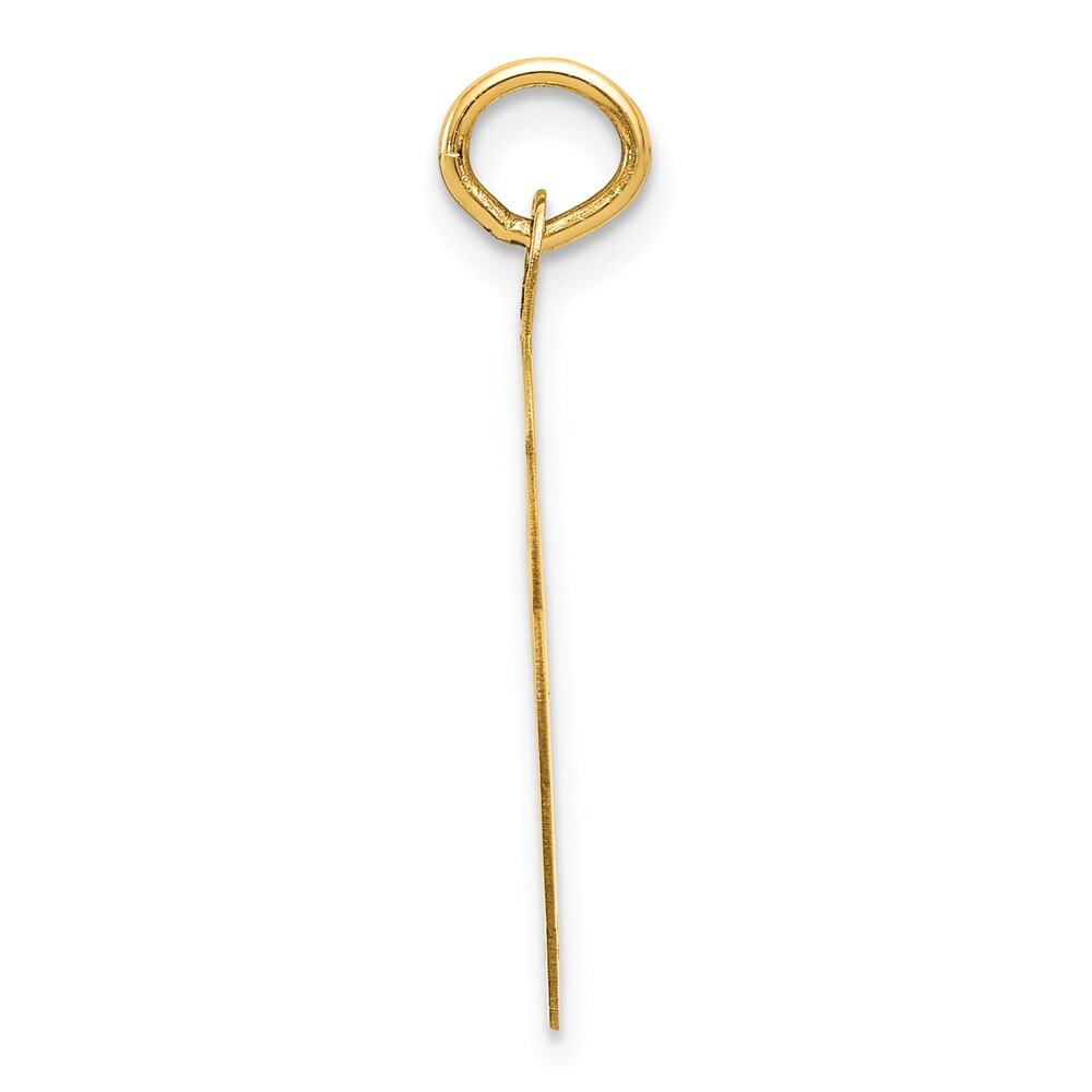 14k Yellow Gold Swimming Disc Charm Pendant for Women