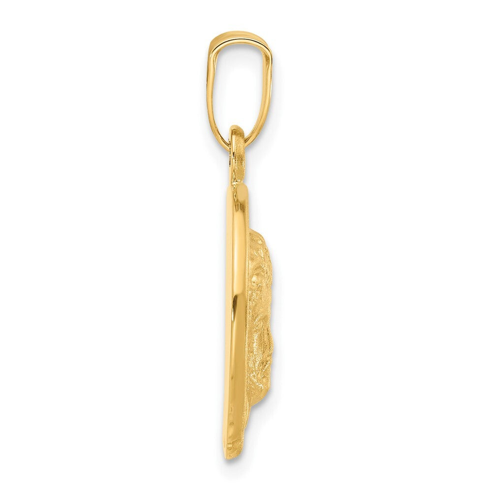 14k Yellow Gold Satin Jesus Medal Pendant