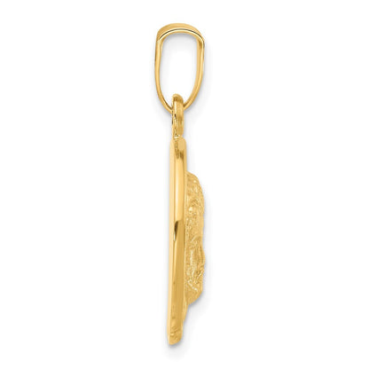 14k Yellow Gold Satin Jesus Medal Pendant