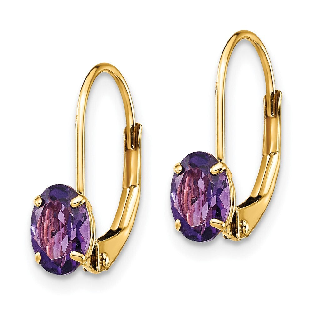 14k Yellow Gold 6x4mm Oval Amethyst Leverback Earrings Gift for Women